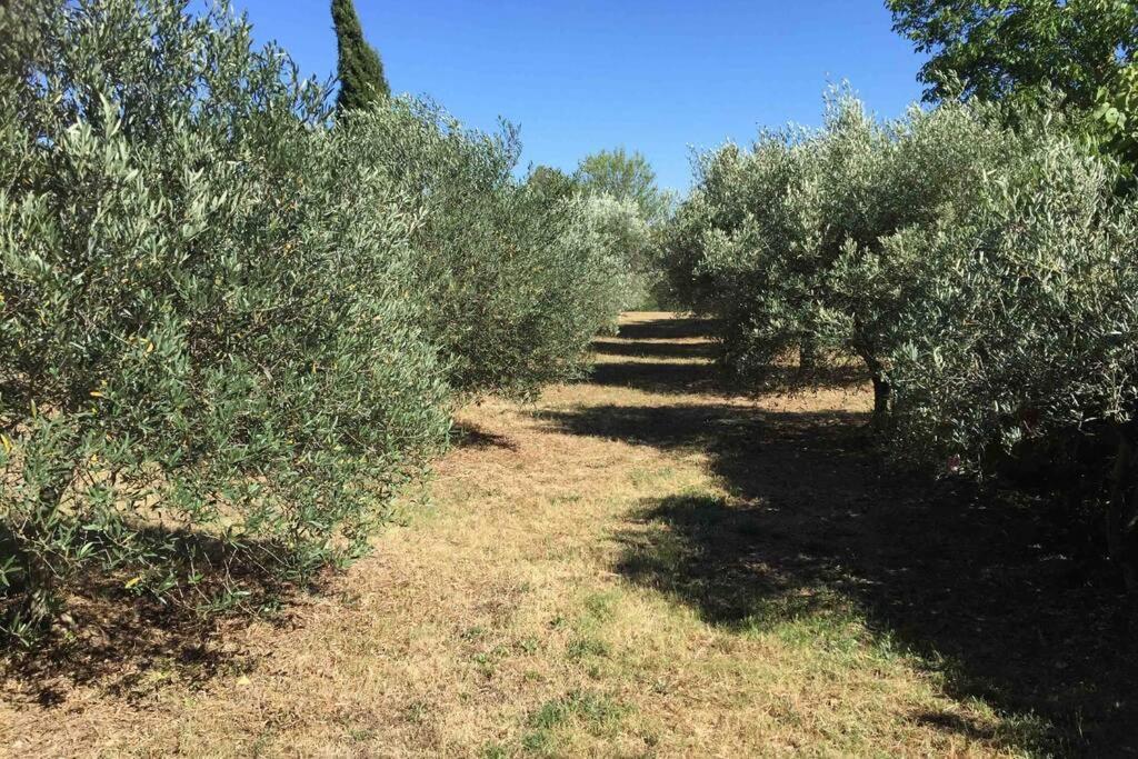 Bastide Derroc Villa โคทินยัค ภายนอก รูปภาพ